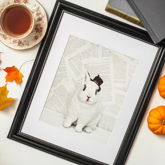 Gooseberry Prints: Bring To Life a Lovable Animal Character in Your Home + Giveaway