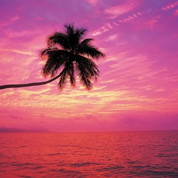 rainbow-sunset-beach-wallpaper-1920x1200-269 How to Make Your Dream Job Happen + My BIG Announcement!