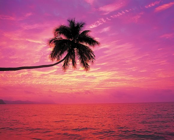 rainbow-sunset-beach-wallpaper-1920x1200-269 How to Make Your Dream Job Happen + My BIG Announcement!