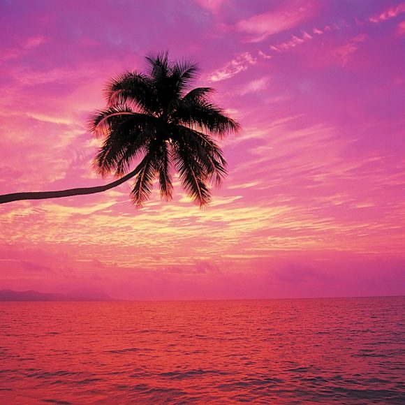 How to Make Your Dream Job Happen + My BIG Announcement! 