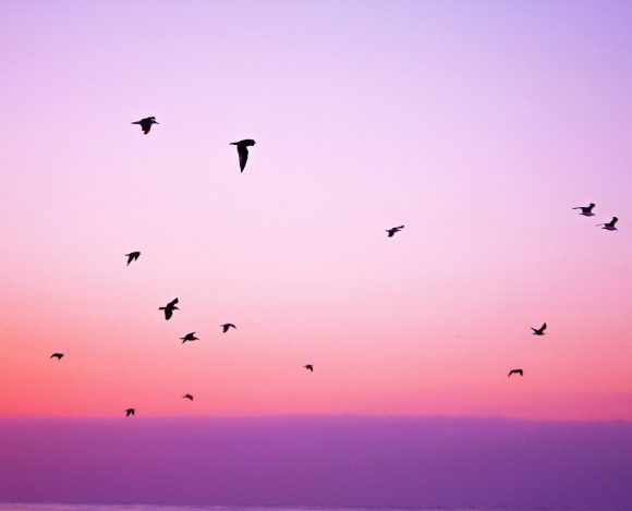 pexels-photo Benefits of Bucket List + Printable Bucket List Template