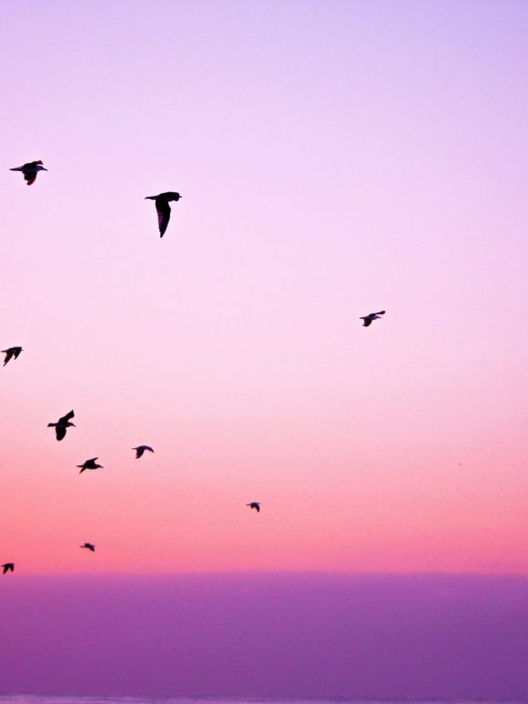 pexels-photo Benefits of Bucket List + Printable Bucket List Template