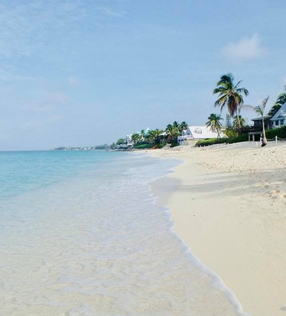 35114523_10156449778294281_7139629362839552000_n Things To-Do on Rainy Days in Grand Cayman